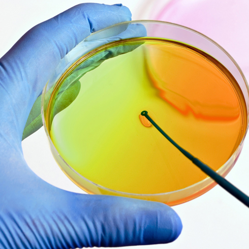 Mikrobiologische Probenahme im Rahmen einer Reinraumqualifizierung Durchführung einer mikrobiologischen Probenahme im Rahmen einer Reinraumqualifizierung