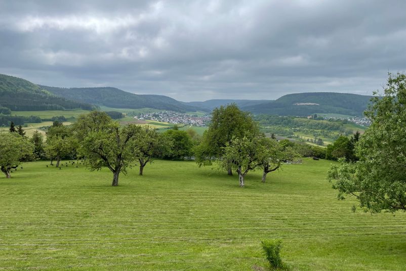 Ausblick beim Qualitätsforum MT Süd