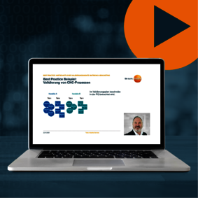 Webinar Wirtschaftliche Validierung: Matrixing & Bracketing Bildausschnitt vom Live-Webinar Wirtschaftliche Validierung: Matrixing & Bracketing